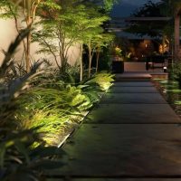 Landscape Lighting Installation Outdoor Garden